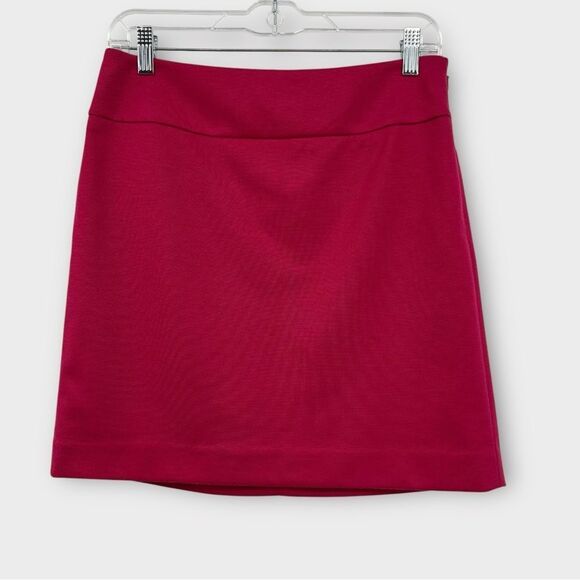Ann Taylor LOFT Above Knee Skirt in Pink Womwn’s Size 2 - Picture 1 of 5